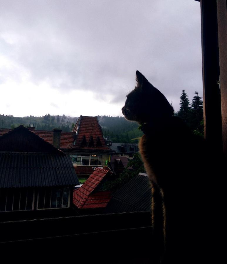 Cottage Spadok Vorokhta Dış mekan fotoğraf